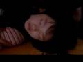 映画『コドモのコドモ』予告篇