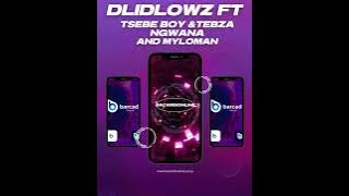 Dlidlowz ft Myloman, Tsebe Boy and Tebza Ngwana - Tlhobola Nthweo( Bacardi Music)
