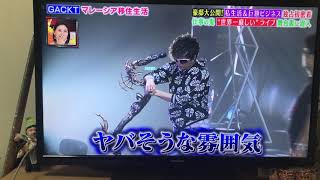 囲碁健康体操 Gackt