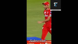 Cricket Tik Tok Video Pin Fact