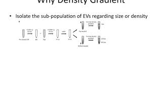 Density Gradient - Basics of Extracellular Vesicles