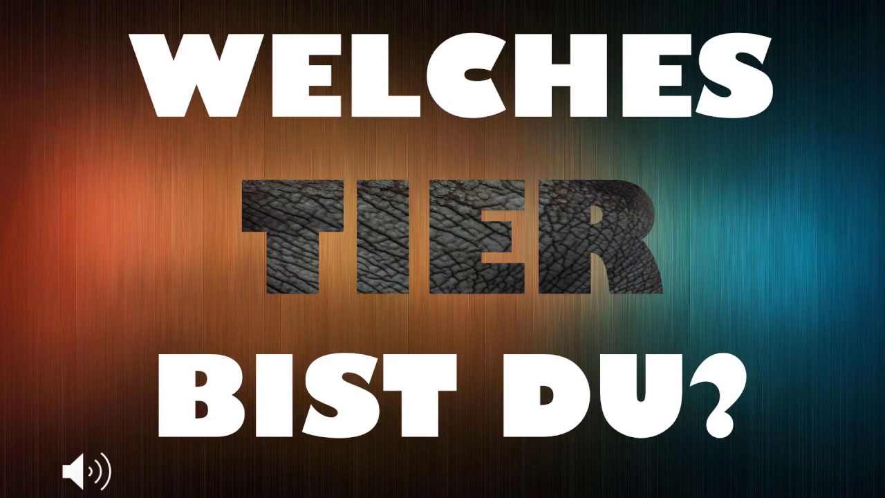 FUN TEST WELCHES TIER BIST DU? 5 Fragen YouTube