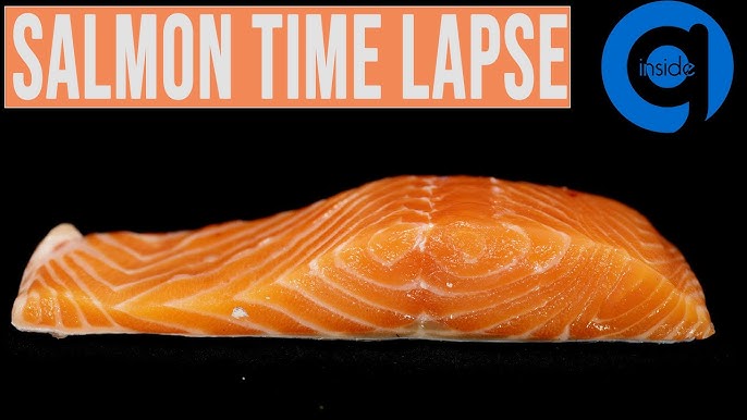 Abbyland Foods Time Lapse 