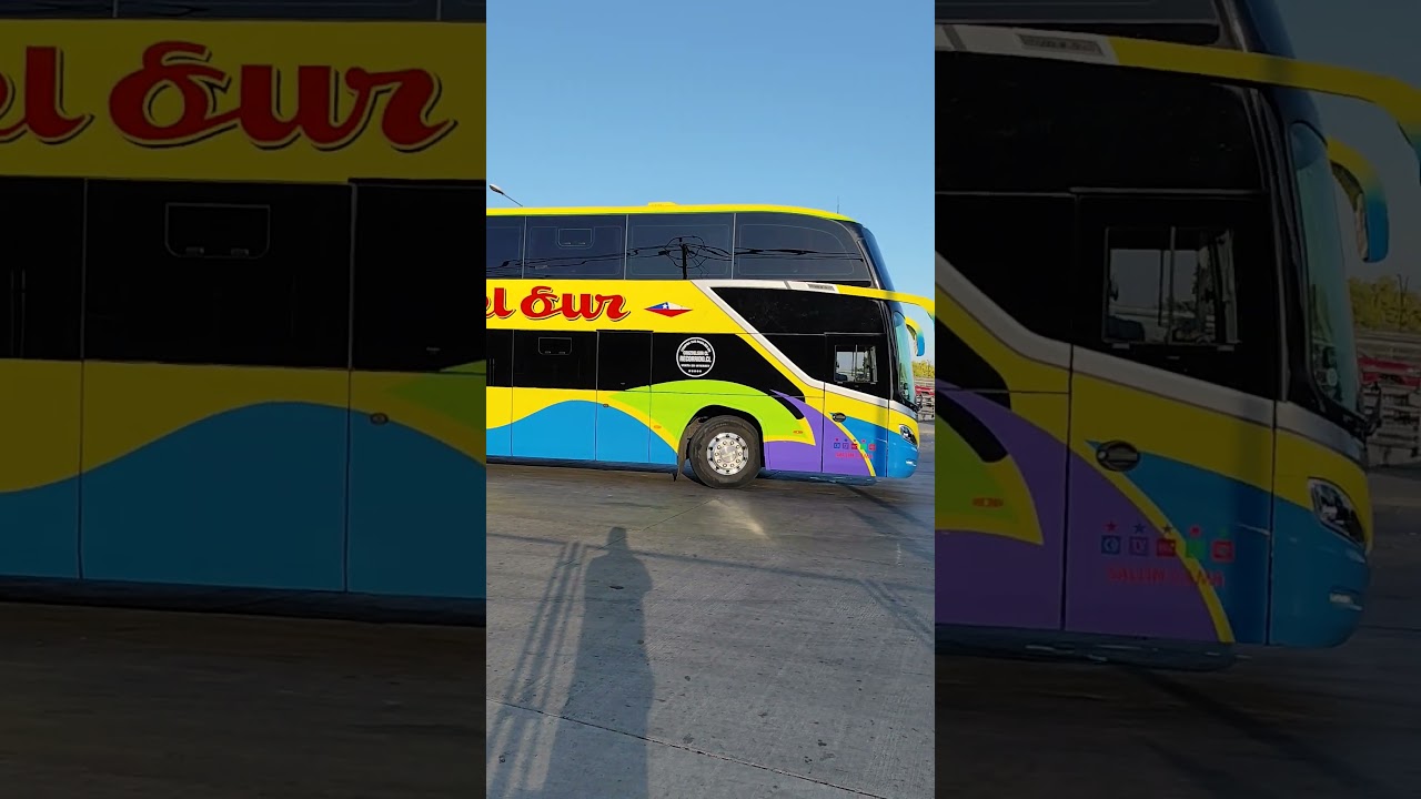 modasa Zeus 5, Buses Cruz del Sur,Scania K450c ,salon cama.