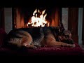Relaxing Fireplace ASMR 🔥 with Sleeping Dog | No Talking, Deep Sleep (8 Hours)