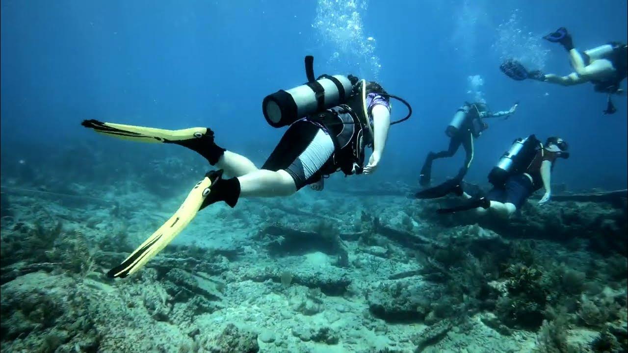 Key Largo Scuba Diving YouTube