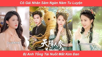 Nhân Sâm Tu Luyện Ngàn Năm Xuống Núi Tìm Lại Kim Đan Của MÌnh