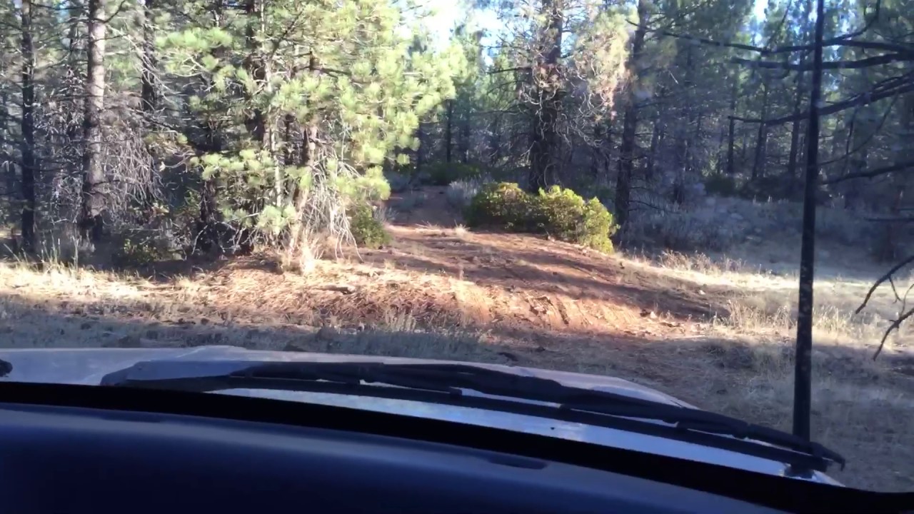 Fire Road in Lassen National Forest
