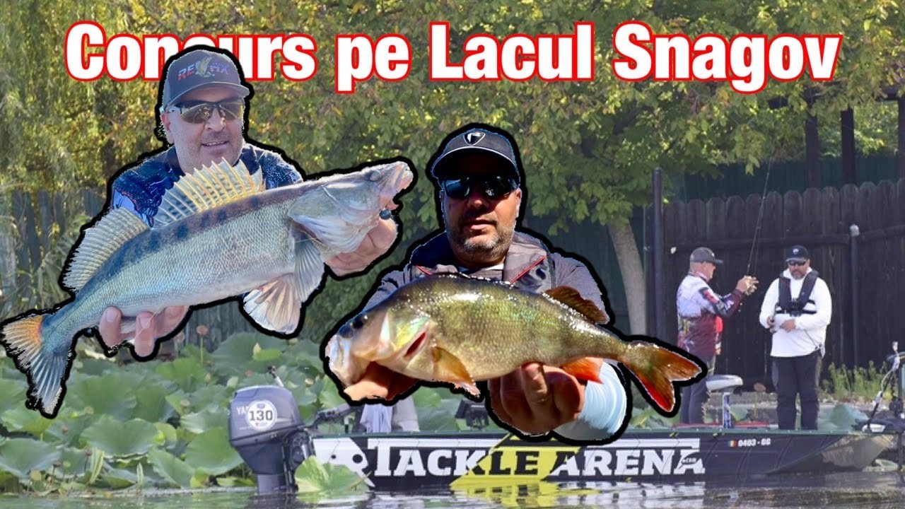 Concurs pescuit la stiuca, biban si salau pe Lacul Snagov. In echipa cu Robert Boanta. Bravo Bogdan!