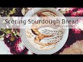 Beautiful Feather Sourdough Scoring Pattern