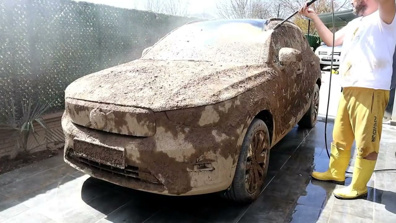 I washed an abandoned car for $100