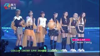 【新團歌首唱】COLLAR ·《Chosen Family》| 𝑪𝑶𝑳𝑳𝑨𝑹 𝑪𝑹𝑼𝑺𝑯 𝑳𝑰𝑽𝑬 𝟐𝟎𝟐𝟒頭場 2024/03/22