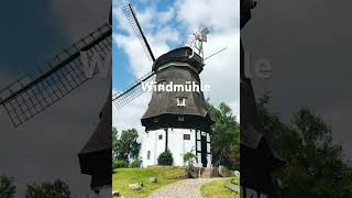Windmühle 1761 Geschichte Im Windühle 1761