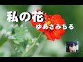 私の花  (ゆあさみちるさん) cover / K.seto