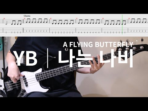 나는 나비 (Beginner ) - YB