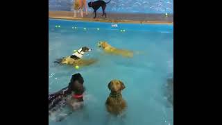 tumblr r9btg5nUWn1yk4k9o