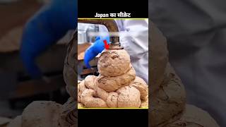 Japan Ka Sabse Bada Secret 🤯 | Amazing Facts About Japan #shorts