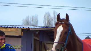 DON JUAN /corral hermanos vigueras