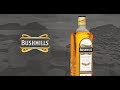 Как перестать напиваться. Моя история виски. Bushmills (Бушмилс)