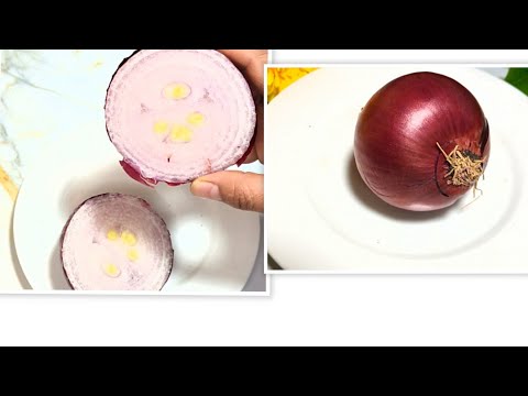 كيف يعالج البصل حالات الإغماء استعمال العطور والبرفانات تؤذي أصحاب امراض الصدر وتسبب نتيجة عكسية