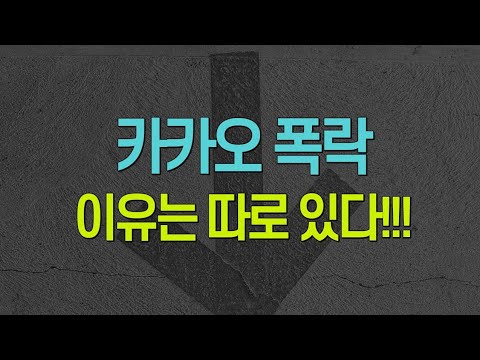카카오의 미래 <strong>플랫폼의</strong> 저주