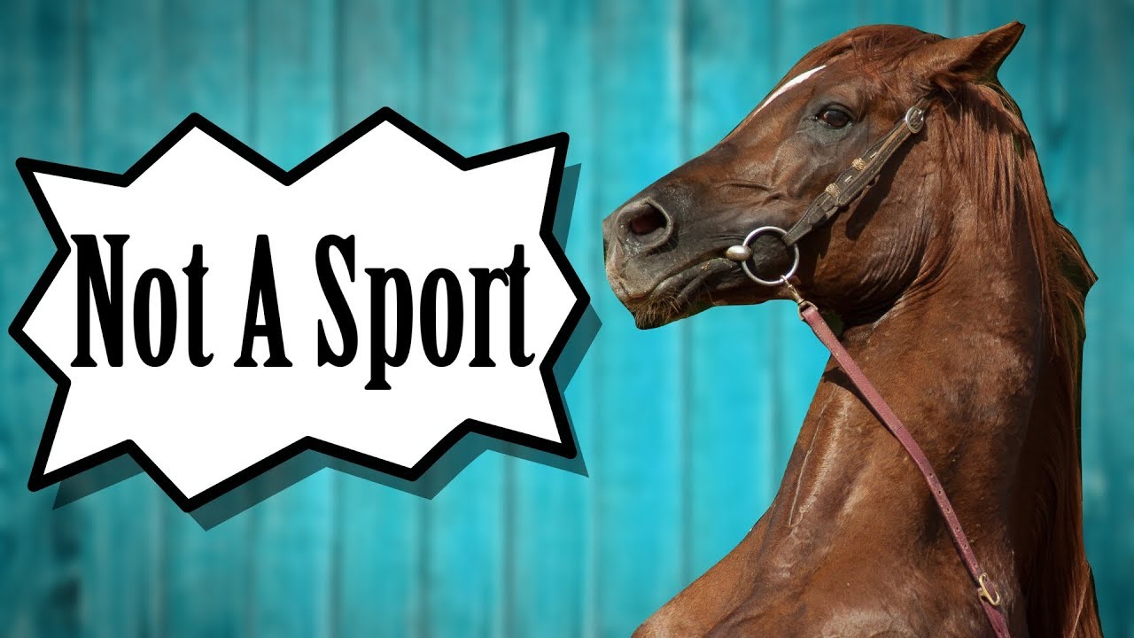 Horseback Riding "Not A Sport" YouTube