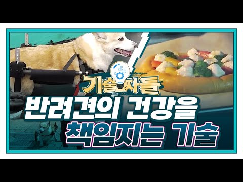 [<strong>기술자들</strong>] 수제 건강 반려견 간식과 건강한 보행과 재활을 돕는 반려견 보조기구 / YTN 사이언스
