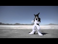 Rinn  revolution diplo sergal fursuit dance