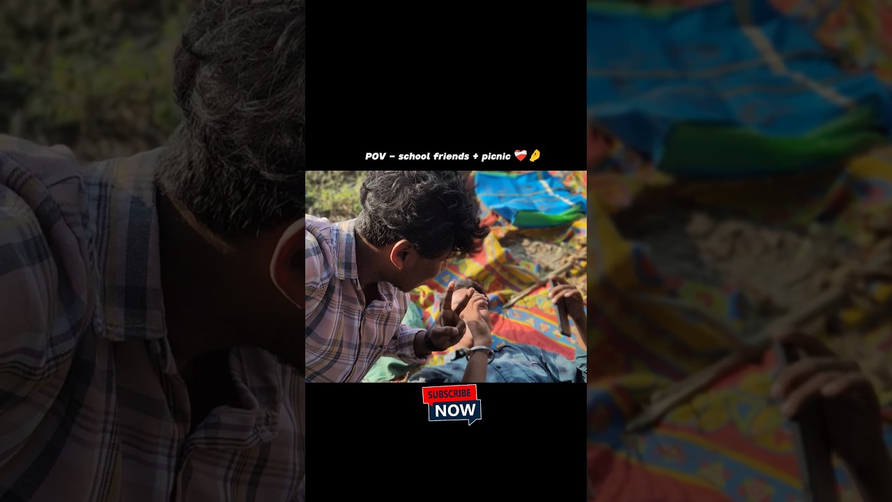 picnic with school friends ❤️‍🩹||