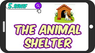 Animal Shelter / Akıcı Anlatım 🐓 5.Sınıf İngilizce #2023