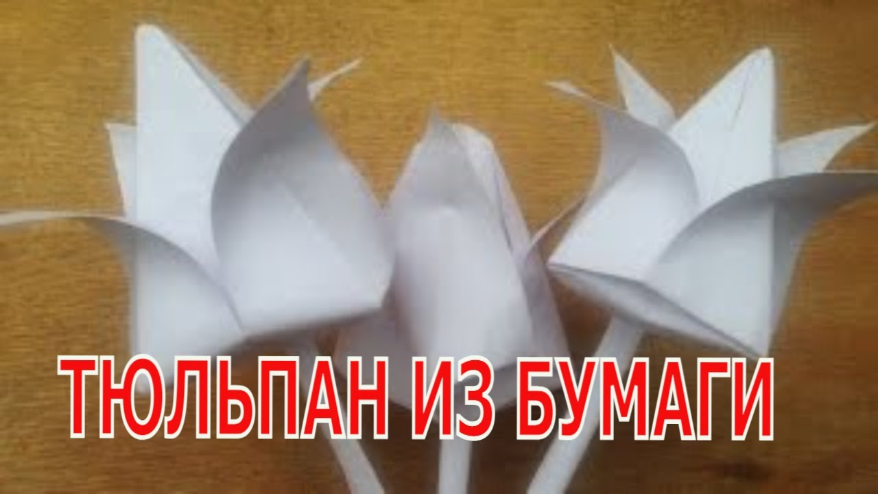 How to make a tulip out of paper. Origami. - YouTube
