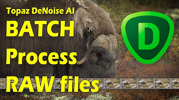 Topaz DeNoise AI: Batch Processing Raw Files in the Main DeNoise Application.