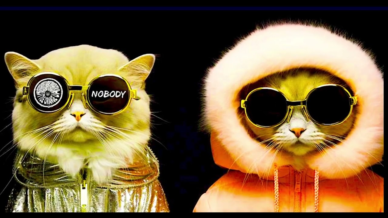 Little Orange UA - Nobody