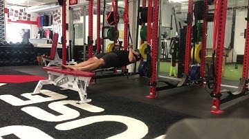 3.1 Feet Elevated Neutral Grip TRX Row Hold