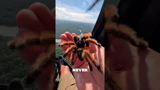 Pov Youre Explaining The Amazon And The Spider Leaves Midinterview 