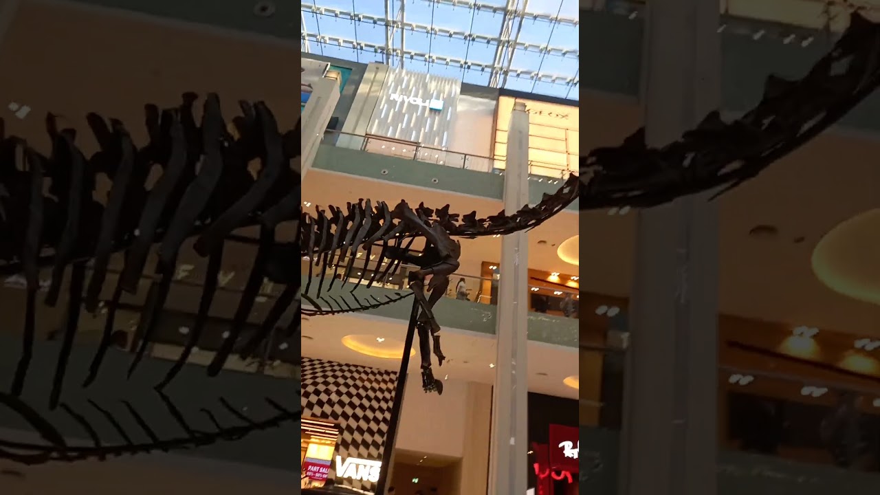 #Dainosaurskellition