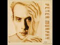 Peter Murphy Time Has Got Nothing To Do With It mp3