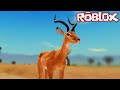 GAZELA Em PERIGO! Em busca Da Manada| Savannah Life Roblox (PT-BR)
