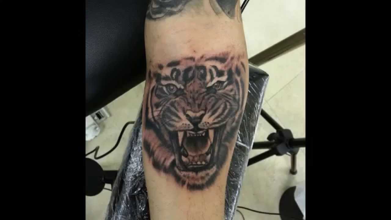kissimmee tiger tattoos to TattoosKid   on Pictures Tigre Pin Tattoo Derek Pinterest