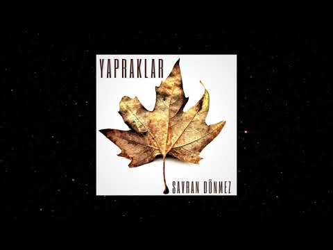 Savran Dönmez -