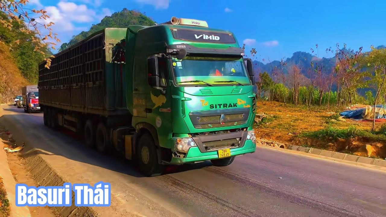 Chích Kèn Thái Siêu Đỉnh, Các idol Bóp Kèn Tạch Tè Quá Đã