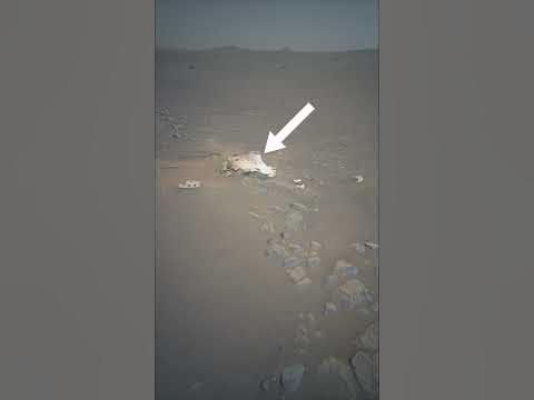 NASA's Ingenuity Mars Helicopter on Sol 414 Capture This on Red Planet MARS