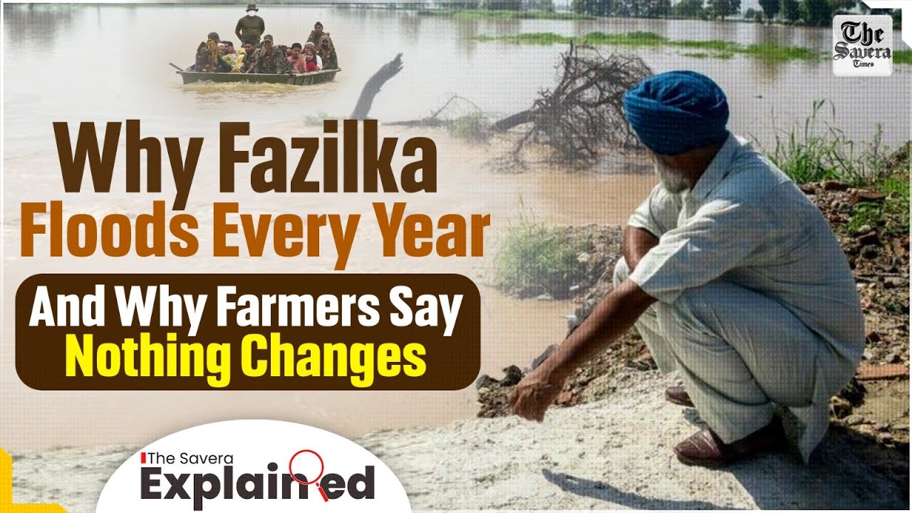 Why Fazilka Floods Every Year — And Why Farmers Say Nothing Changes
