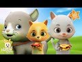 Kids Songs Cartoons: Baby Animals Song + Nursery Rhymes for Children | Kids Videos