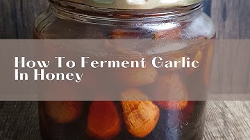 Unbelievable Health Benefits of Fermented Garlic in Honey