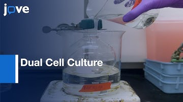 Ultrathin Porated Elastic Hydrogels-Biomimetic Basement Membrane l Protocol Preview