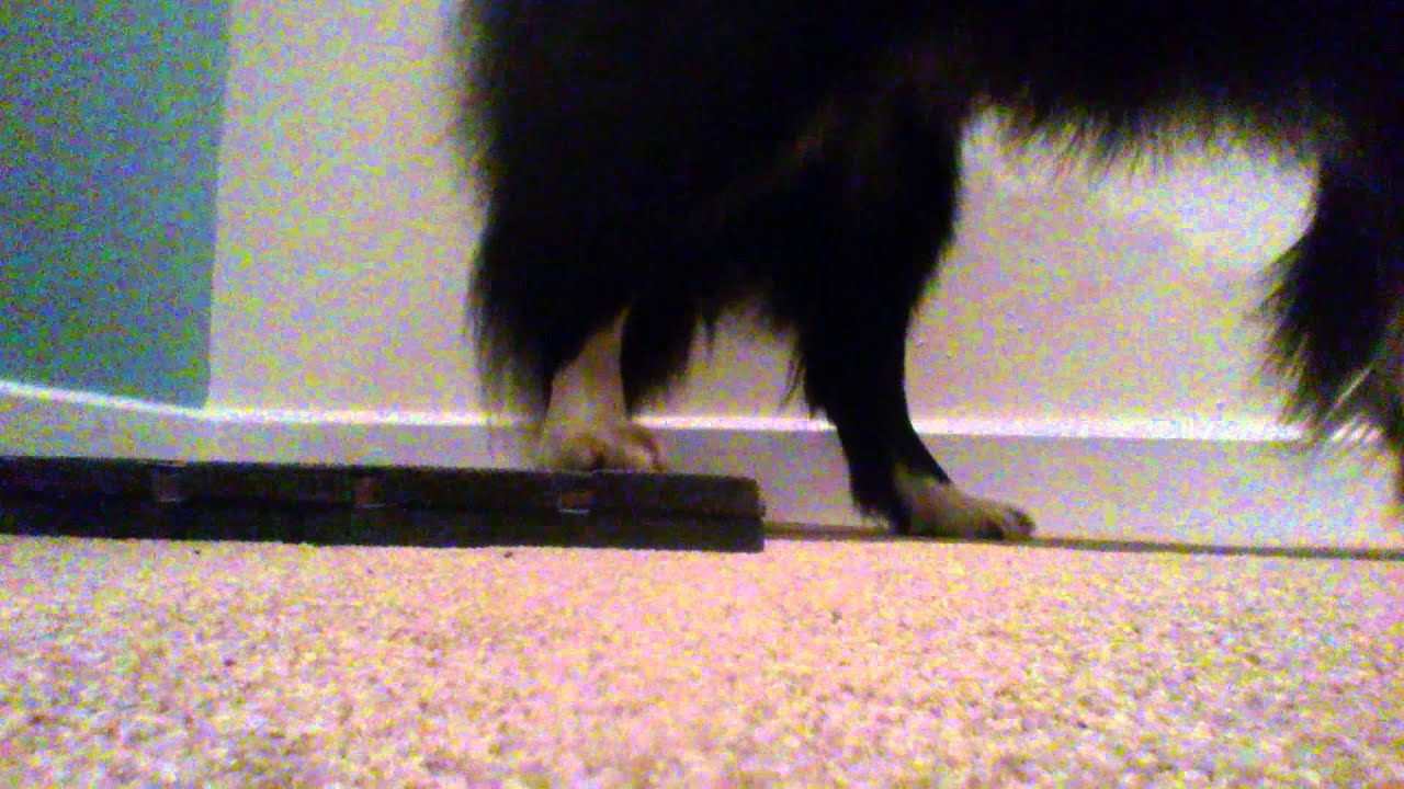 video phone beyonce mp3 Reversing to a target