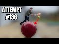 Insane cricket trickshots