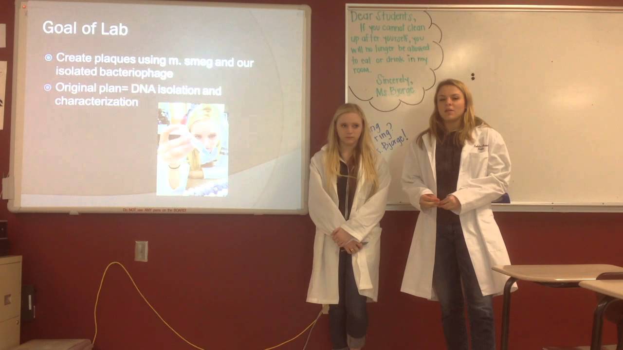 Isolation Of A Bacteriophage From A Soil Sample YouTube