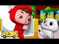 😸 The Kitty Cat Song | GoGobus Nursery Rhymes And Kids Songs